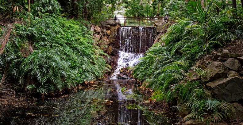 Darwin Botanic Gardens