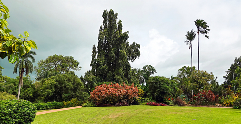 Darwin Botanic Gardens