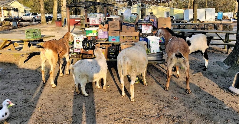 Caesars Entertainment Donation