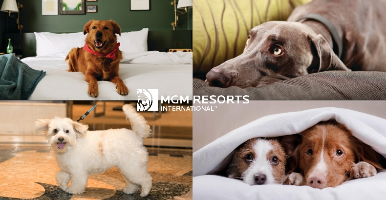 MGM Resorts Dogs