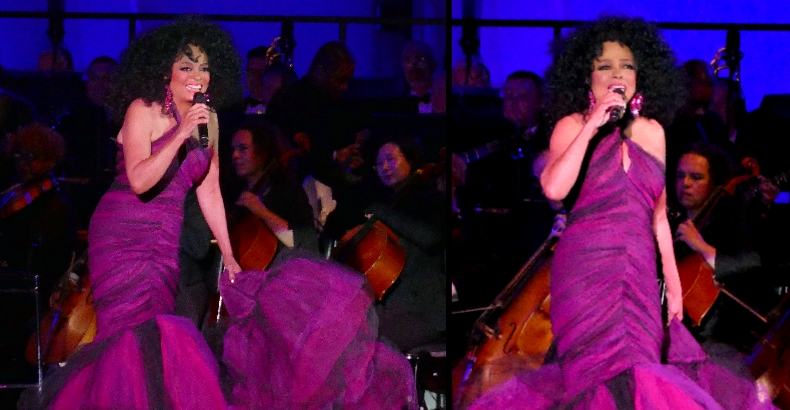 Diana Ross Hollywood Bowl