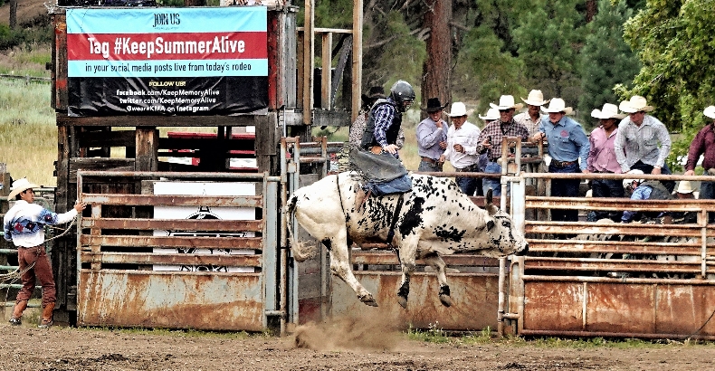 KMA Rodeo