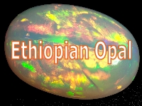 OPALS - Ethiopian - General