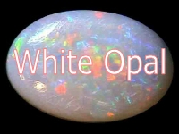 OPALS - White - Gen2