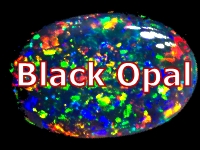 Opal - Black - General