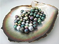 Pearls - General