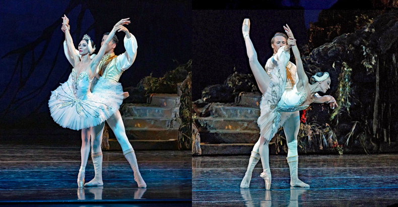 NBT Swan Lake